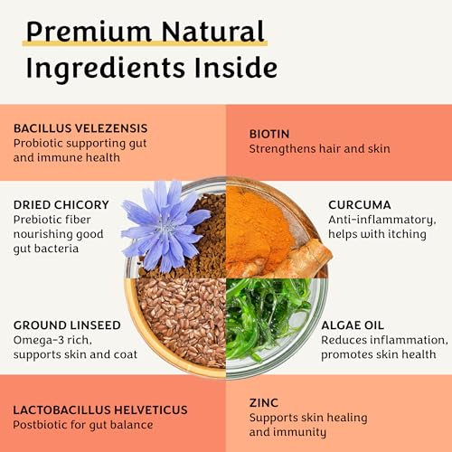 Pawital Belly Biotics: Präbiotischer, probiotischer und postbiotischer 3-in-1 Hundesnack – bei übermäßigem Pfotenlecken, Juckreiz und Verdauungsproblemen – 1 B KBE – 360 Leckerlis