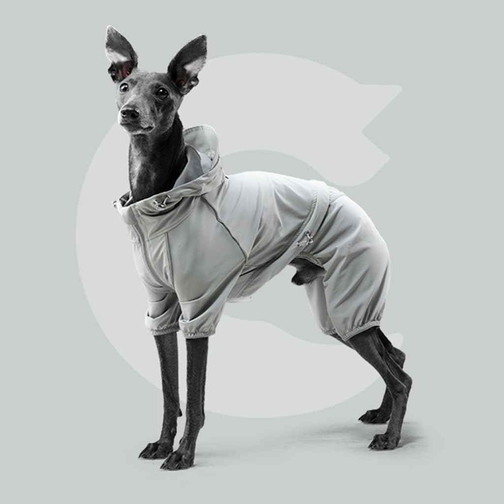 Chien Raincoat Imperméable Chiot Imperméable avec bande réfléchissante et quatre jambes, capuche et manteau assorti (Couleur : A1, Taille : S)
