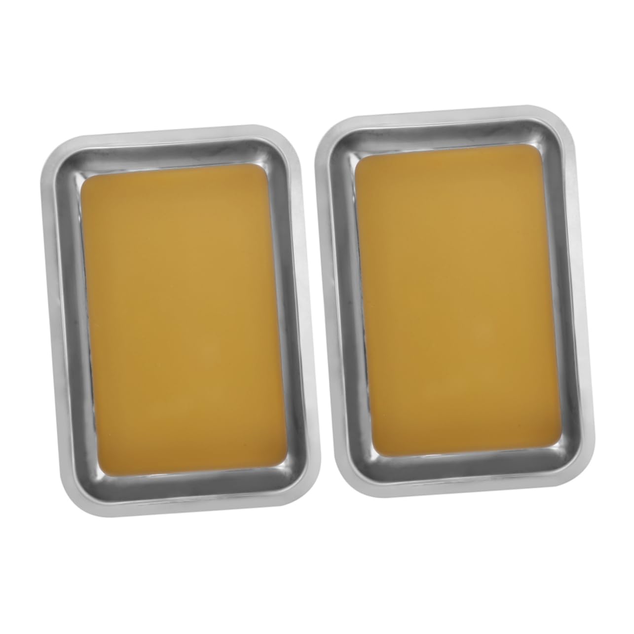 Cabilock 2pezzi Vassoio per Dissezione in Acciaio Inox Rivestimento in Cera Base Antigraffio per Laboratori e Aule Biologiche