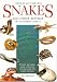 Field Guide to the Snakes and Other Reptiles of Southern Africa
