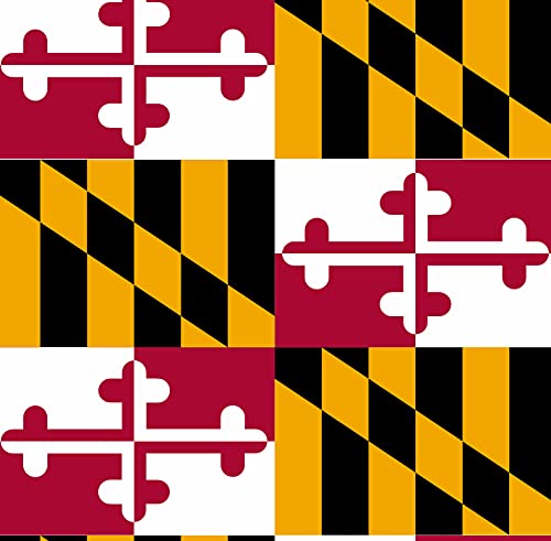 Hocsocx Maryland Flag Unisex Performance Socks, Moisture Wicking Protection for Field & Ice Hockey, Futbol & Boots, Medium3