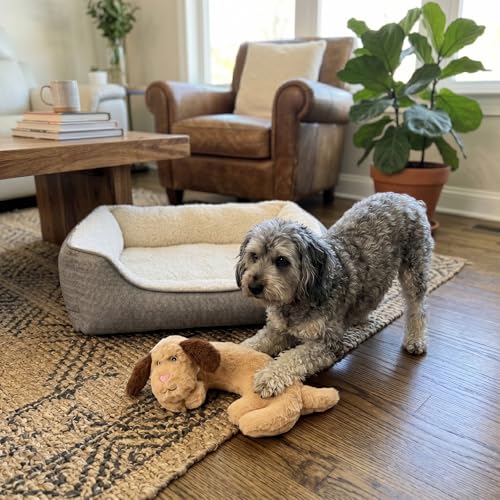 Image of SPOT Soothers Warm Hug Pal - 10in Plush Microwavable Calming Dog Toy with Lavender Scent & Squeaker, Separation Anxiety & Sleep Aid for Medium & Large Dogs