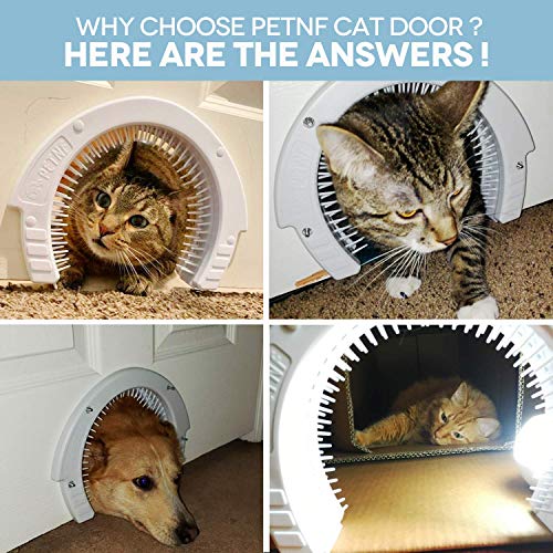 Interior Cat Door Pet Door for Cats with a Removable Cleaning Grooming Brush Large Pet Cat Pass for Adult Cats up to 35… - Image 5