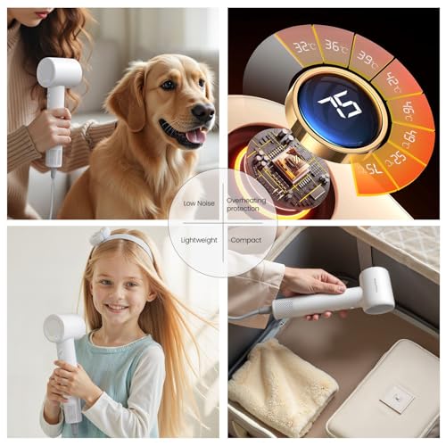 BeautiFlow Hair Dryer BF03 の商品画像 7