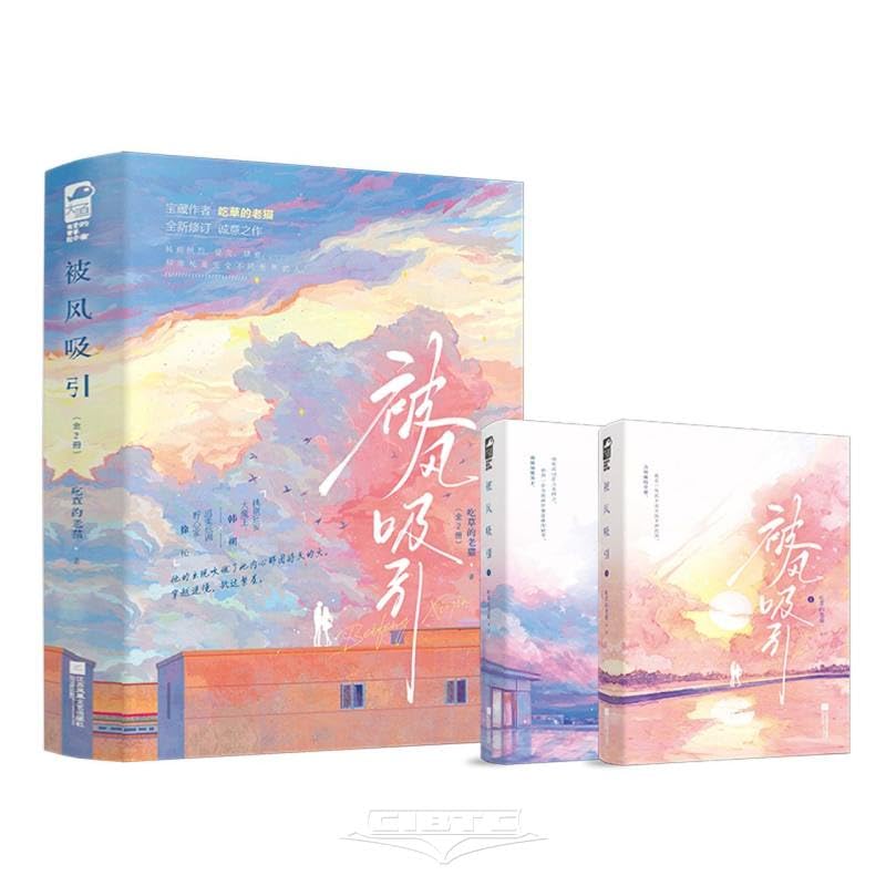 Attracted by the Wind (2 Volumes) (Chinese Edition)