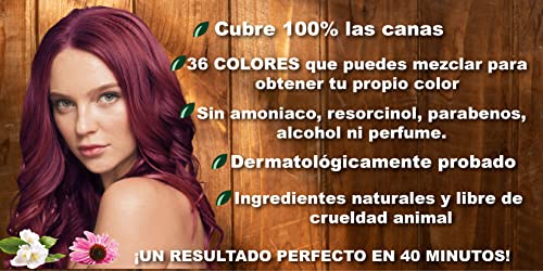 Coloración, Beauty Imagen adicional