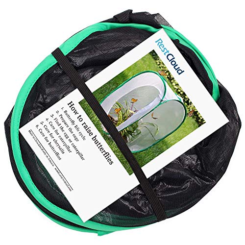 Image of RESTCLOUD Insect and Butterfly Habitat Cage Pop-up 23.6 Inches Tall | Butterfly Terrarium, Enclosure, Tight Mesh