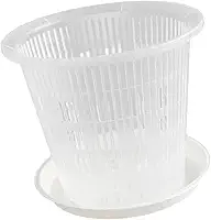 Vaso com Furos E Pires para Replantio de Plantas Phalaenopsis, Vaso Transparente para Flores, 19cm