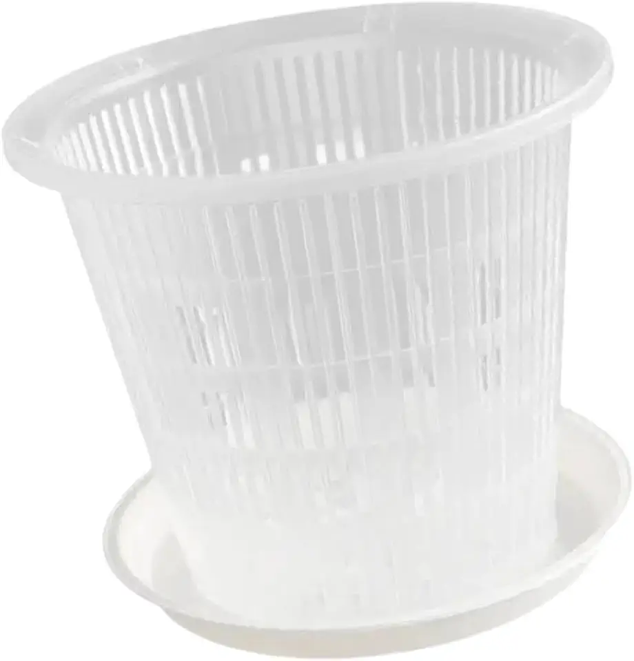 Vaso com Furos E Pires para Replantio de Plantas Phalaenopsis, Vaso Transparente para Flores, 19cm