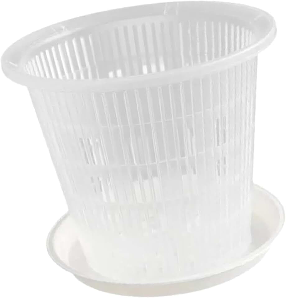 Vaso com Furos E Pires para Replantio de Plantas Phalaenopsis, Vaso Transparente para Flores, 19cm