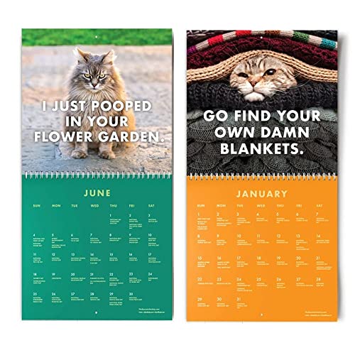 Cats Calendar, 2023 Kittens Hangable Monthly Wall Calendar 9.5*9.0In Funny Cats Calendar Thick & Sturdy Paper Monthly Format Cats Wall Calendar Kids Cute Kitten Cat Gift For Cat Lovers #TOP17