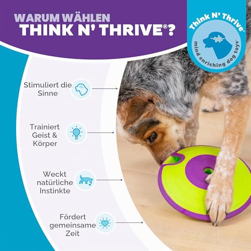 Outward Hound by Nina Ottosson Dog Treat Maze Dog Puzzle Enrichment Toy, Level 2 Intermediate, Green