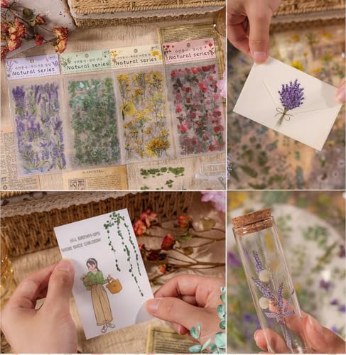 Image of FunBlast Kawaii Sticker Set - 4 Packets, 500+ Stickers for Kids, Nature Vintage Sticker, Beautiful Flowers and Leaf Retro Decorative Stickers, Self Adhesive, Japanese Style Stickers (Multicolor)
