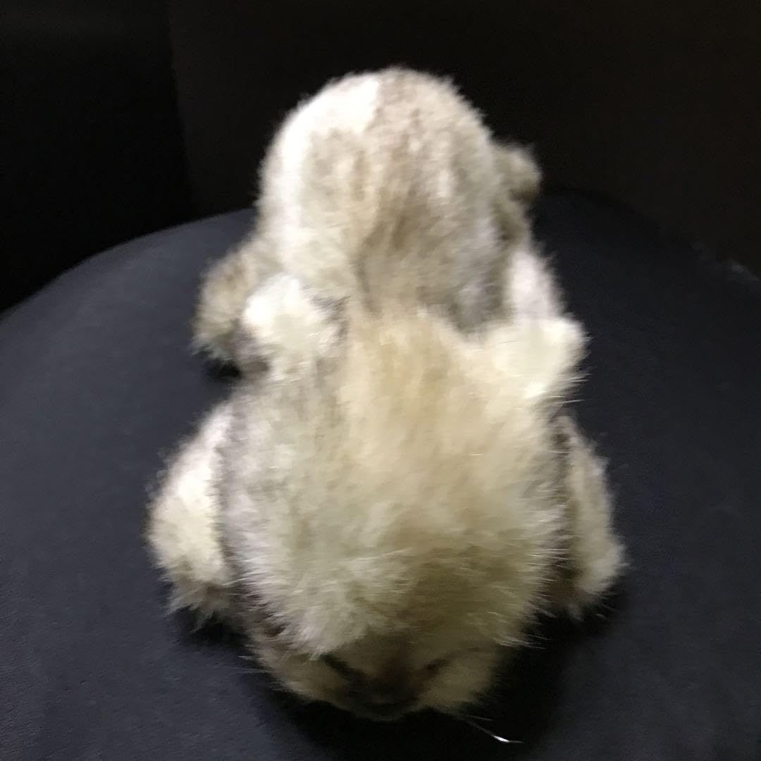 Amazon.co.jp: ぬいぐるみ 猫 ねこ 眠り猫 リーベ レトロ : Toys & Games 