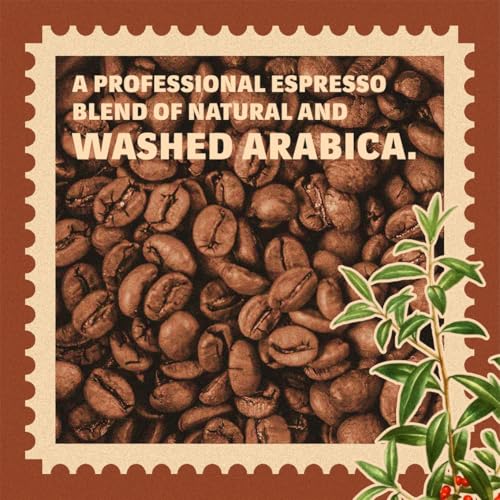 Image of Lavazza Tierra India | Arabica Whole Roasted Bean | Traditional Drum Roasting | 1Kg Pack (Pack of 3)
