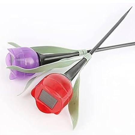 bkr Flower Shape Solar Light Waterproof LED for Garden 6 x 48 cm (Pack of 2)