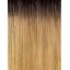 DR4/GOLDEN HONEY BLONDE