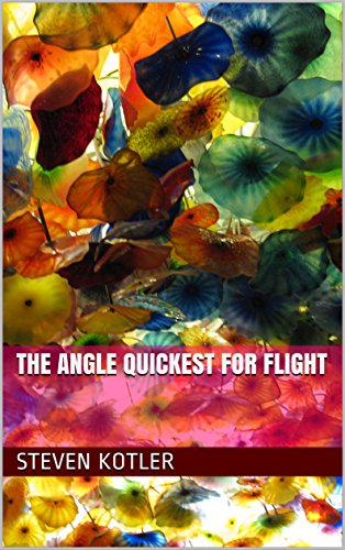 The Angle Quickest For Flight