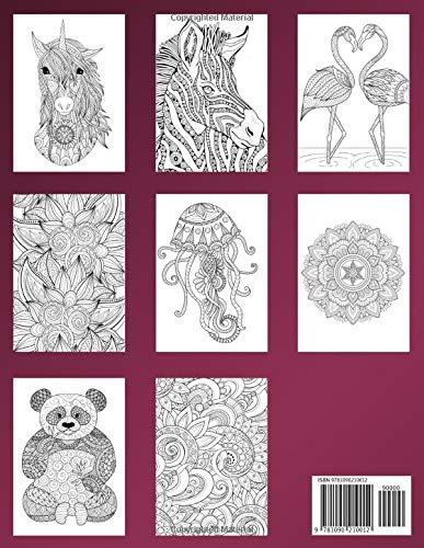 Adult Coloring Books for Women, Men, Teens, Adults | Relaxation Book with 80 designs including Animals, Mermaid, Flower, Mandala, Nature and more | Try Your Best! | Volume 1 by Courtney Sellers