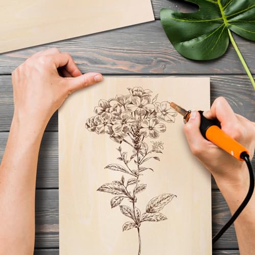 6 Stück A4 Balsaholz 2mm, 30 x 21cm Sperrholz Holzplatten zum Basteln Spannplatte für Modellbau Laserprojekte Kunst Handwerk Gemälde