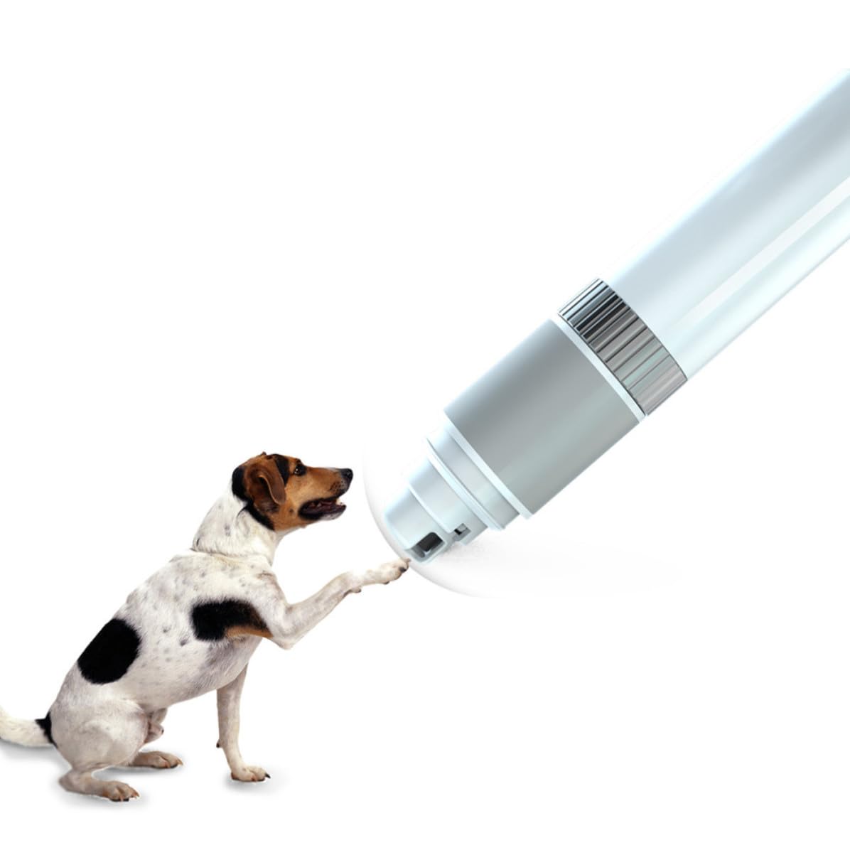 Coupe-Ongles Électrique pour Chien et Chat Design Ergonomique, Rechargeable USB, Outil de Soin des Griffes Portable en Abs PC Pa Blanc