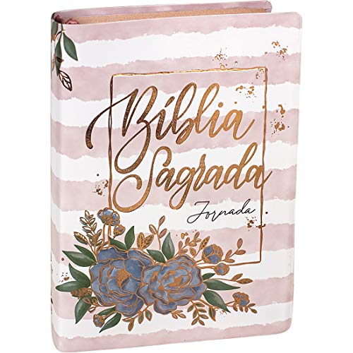 Bíblia Sagrada Jornada - Aquarela - Edição Luxo: Nova Almeida Atualizada (NAA)