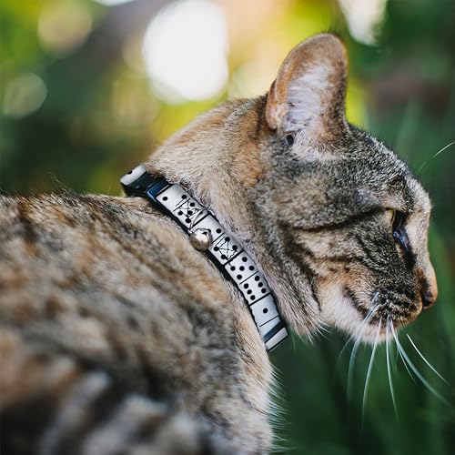 Collar de gato breakaway Buckle-Down ideal para felinos exploradores 3