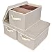 GRANNY SAYS Closet Organizer Bins with Lid, Storage Basket for Shelves, Closet Bins with Handle, Home and Office Box Organizer, Beige, Large, 3-Pack