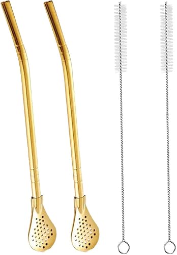 2 filtros de cuchara de acero inoxidable con 2 cepillos de limpieza, cuchara de té reutilizable para té suelto, popote de yerba mate, pajitas de