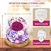 Preserved Flowers Roses in Glass Dome, Forever Flowers for Delivery Prime, Eternal Rose Long Lasting Flowers Gifts for Women Mom Wife Grandma Friends(Purple)