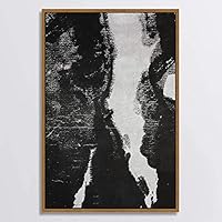 SIGNWIN Canvas Wall Art Black and White Flowers Canvas Prints Home Artwork Decoration for Living Room,Bedroom - 16