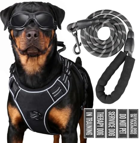Dog Harness and Leash Set for Large Dogs, No Pull Tactical Dog Ha...
