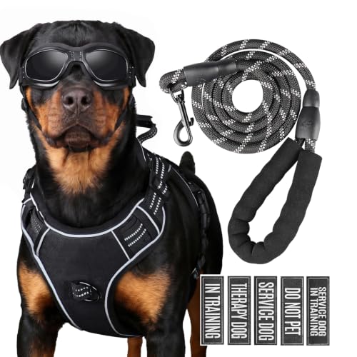 Shop Amazon