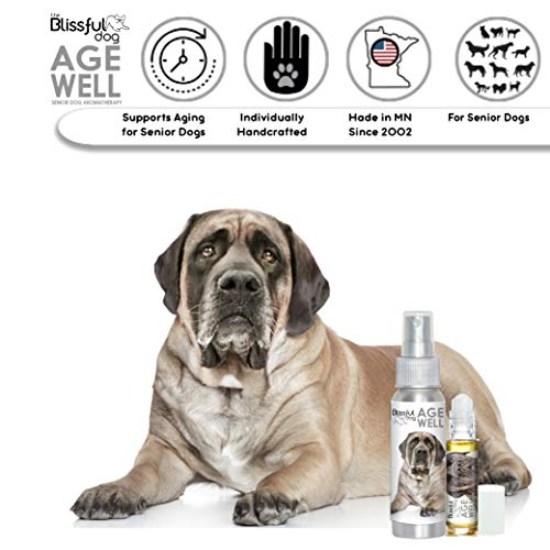 Image of The Blissful Dog Mastiff Age Well Dog Aromatherapy Roll-On Bottle for Your Dog's Peaceful Ageing