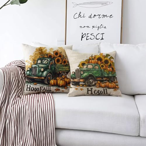 Housses de coussin imperméables en lin déperlant tournesol