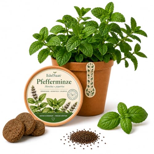 EdelSaat® Pfefferminze Anzuchtset – Mentha × piperita Geschenkset mit Samen, Kokos Quelltabs & Pflanzanleitung – Frische Minze selbst anbauen für...