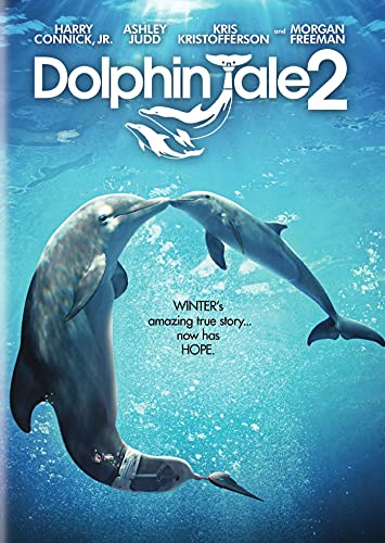 Dolphin Tale 2 B094Z4HNJJ Book Cover