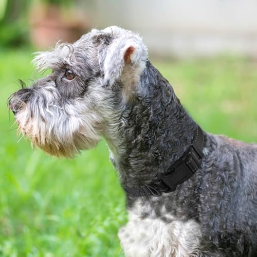 image for Joytale Reflective Dog Collar,Soft Neoprene Padded Breathable Nylon Pe