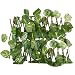 Produktbild lossomly Gitterzaun Künstliche Hecke Sichtschutz Zaun UV-Schutz Privatsphäre Barriere Simulation Immergrüner Blatt Dekorativer Zaun Für Gartenhof Garten Dekoration