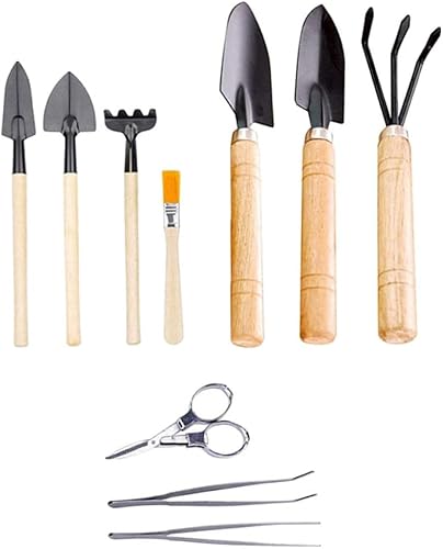 Happyyami Juego de cucharas de herramientas de jardín en miniatura, juego de bonsái, herramienta de plantación de suculentas, herramienta de