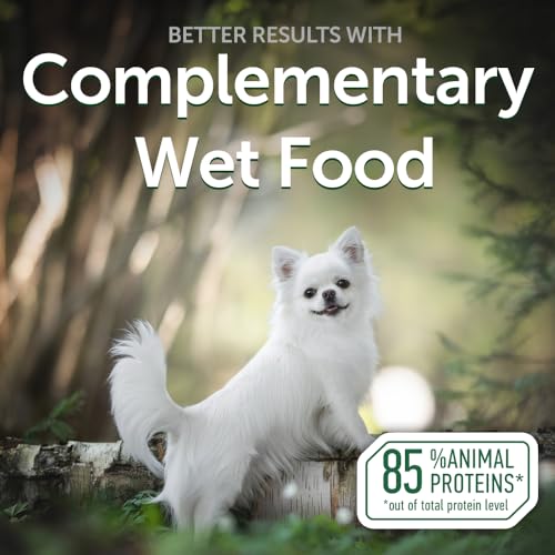 Nature’s Protection Superior Care Hundenassfutter mit Thunfisch - Hundefutter ohne Getreide & hypoallergen - Für weiße Erwachsene Hunde - Haut & Fellpflege - Reduziert Tränenflecken (24 x 70g)