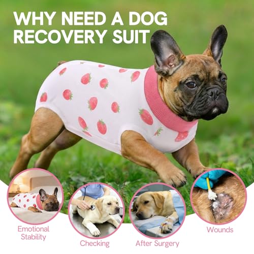 Image of SAWMONG Recovery Suit for Dogs Female Male Zipper, Pink Strawberry Dog Onesie Body Suit After Surgery Spay Neuter, Cotton Breathable Dog Surgical Suit Pet, Substitute Dog E-Collar Cone, XS