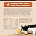 Wellness CORE+ Adult Dry Cat Food for Indoor Cats, Natural, Grain Free Kibble, Chicken and Turkey Recipe, 11 lb Bag