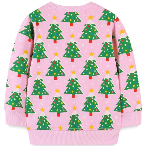 Image of Bumeex Girls Cotton Crewneck Cute Sweatshirts The Hedgehog and The Fox Pink 2-7T