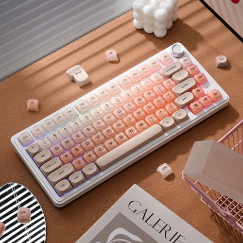 OHY Jelly Keycaps, XVX HOA Profile 132-Key PBT+PC Shine-Through Keycap Set, Cute Custom Gradient Keycaps for Mechanical Keyboards with MX Switches - Flesh Pink (Only Keycap, No Keyboard) by OHY - Image 5