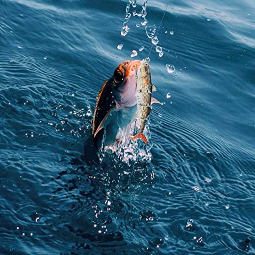 Rose Kuli Fishing Lures for Bass Trout Multi Jointed Swimbaits Slow Sinking Bionic Swimming Lures 6.3 inch Blue Bass Freshwater Saltwater Bass Fishing Lures Kit Lifelike Fishing Gifts for Men