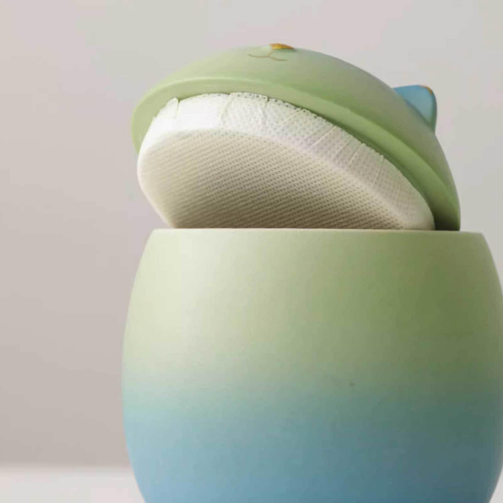 Urny na prochy, Urna pogrzebowa Kremacja na prochy zwierząt domowych(Blue Green,Small)
