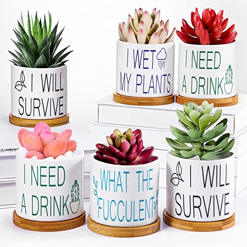 4 Pieces Succulent Pots Funny Sarcastic Succulent Cactus Planters Gifts