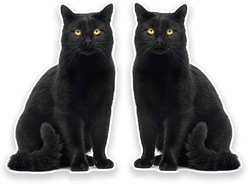 Tapón para botella de vino de acero inoxidable con diseño de gato negro