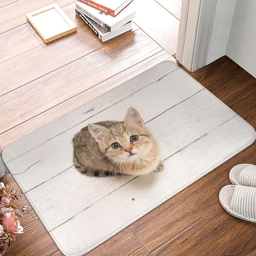 送料無料 玄関マット 猫 ねこ柄 キッチンマット 室内 屋内 滑り止め付き 6 送料無料 玄関マット 猫 ねこ柄 キッチンマット 室内 屋内 滑り